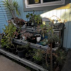 Yard Sale April 18th