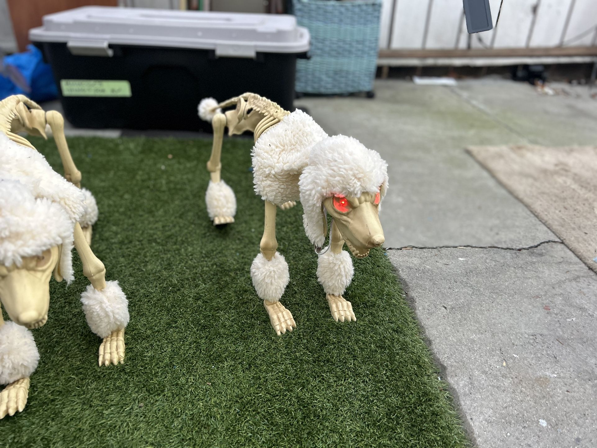 Animated Dog Skeleton