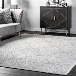 Beautiful Area Rug 8x10 Like New