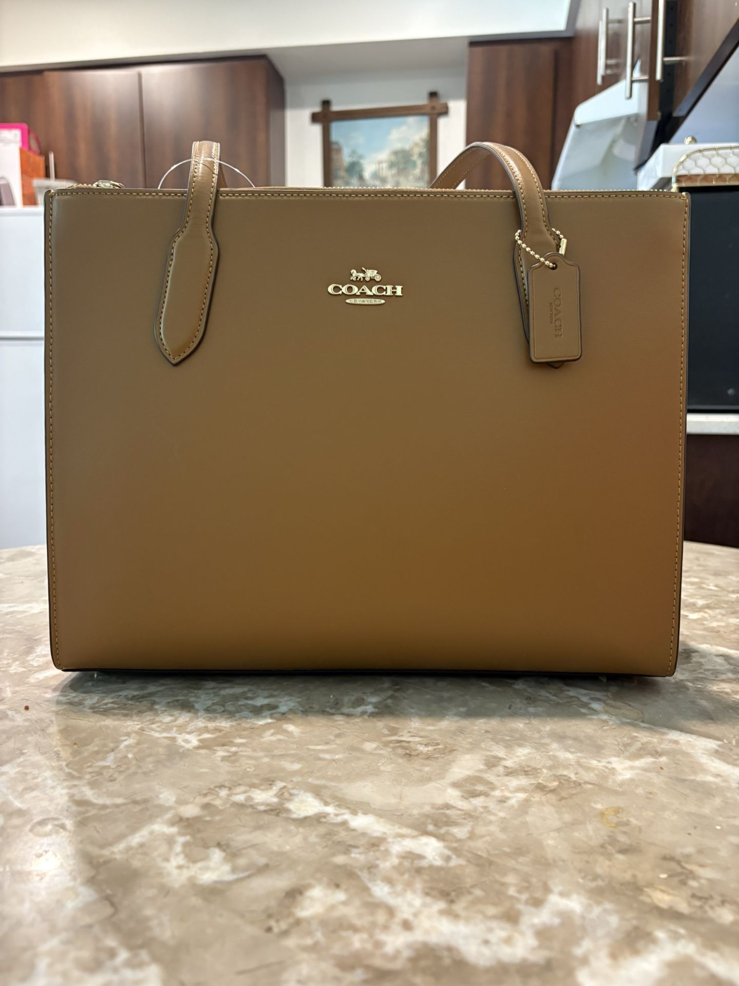 Coach /Leather/ Handbag