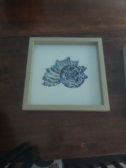 Beautiful Shell Pictures $10 For Both