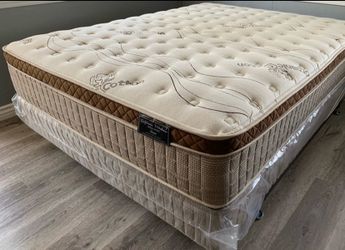 Queen organic cloud edition Europillow top 12inch Matres!