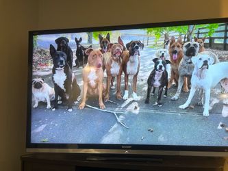 70” flatscreen TV