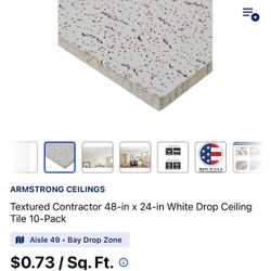 Drop Ceiling Tile  4x8 