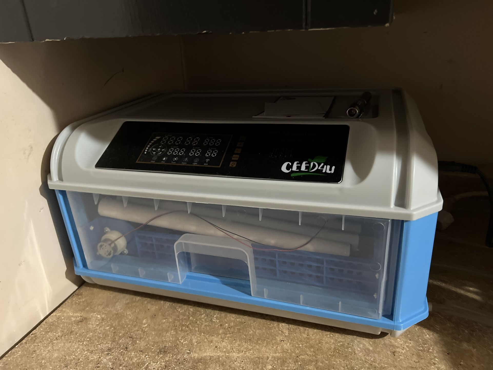 Egg incubator