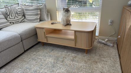 Modern Light Wood coffee table