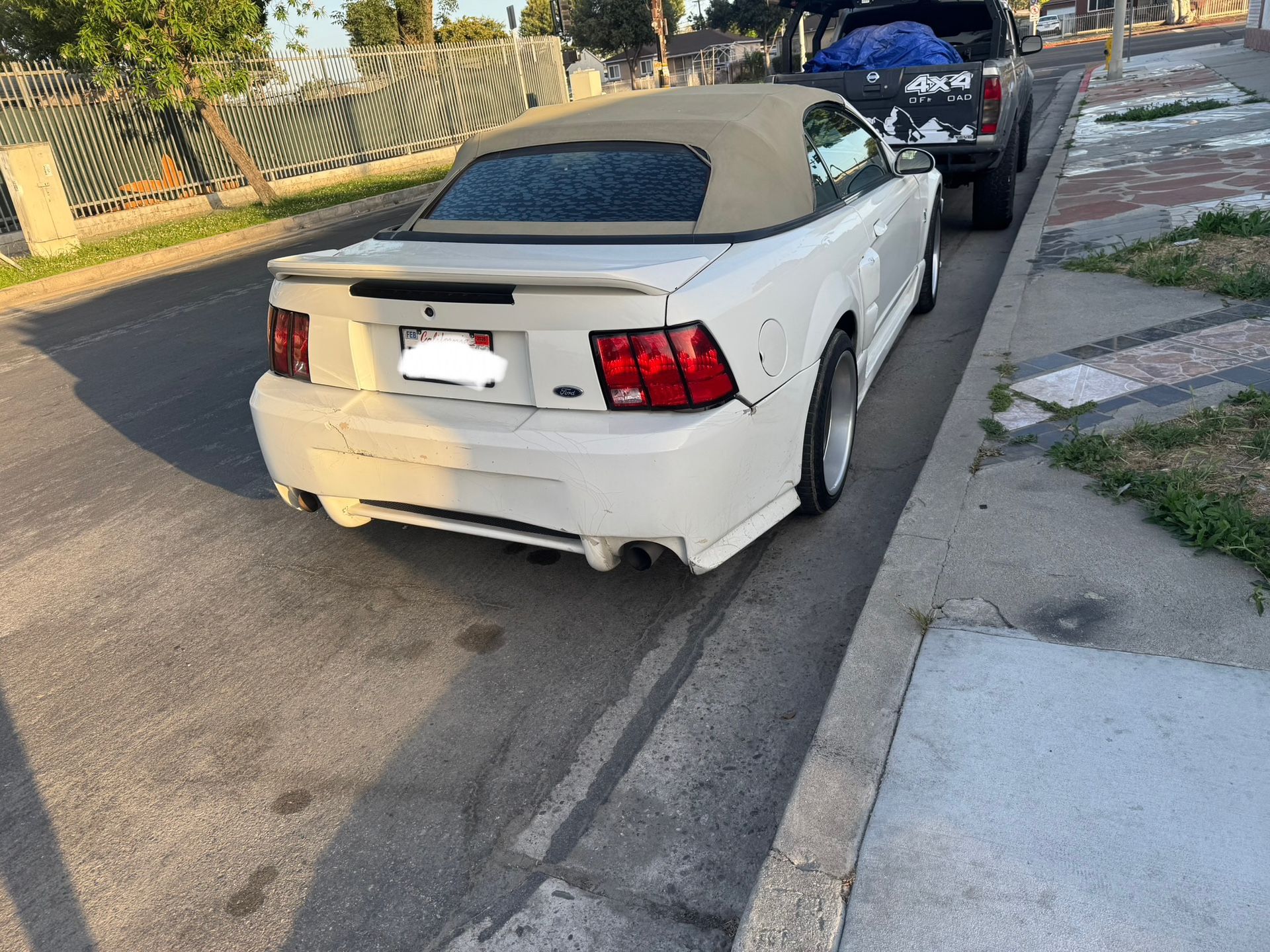 Mustang Stuff