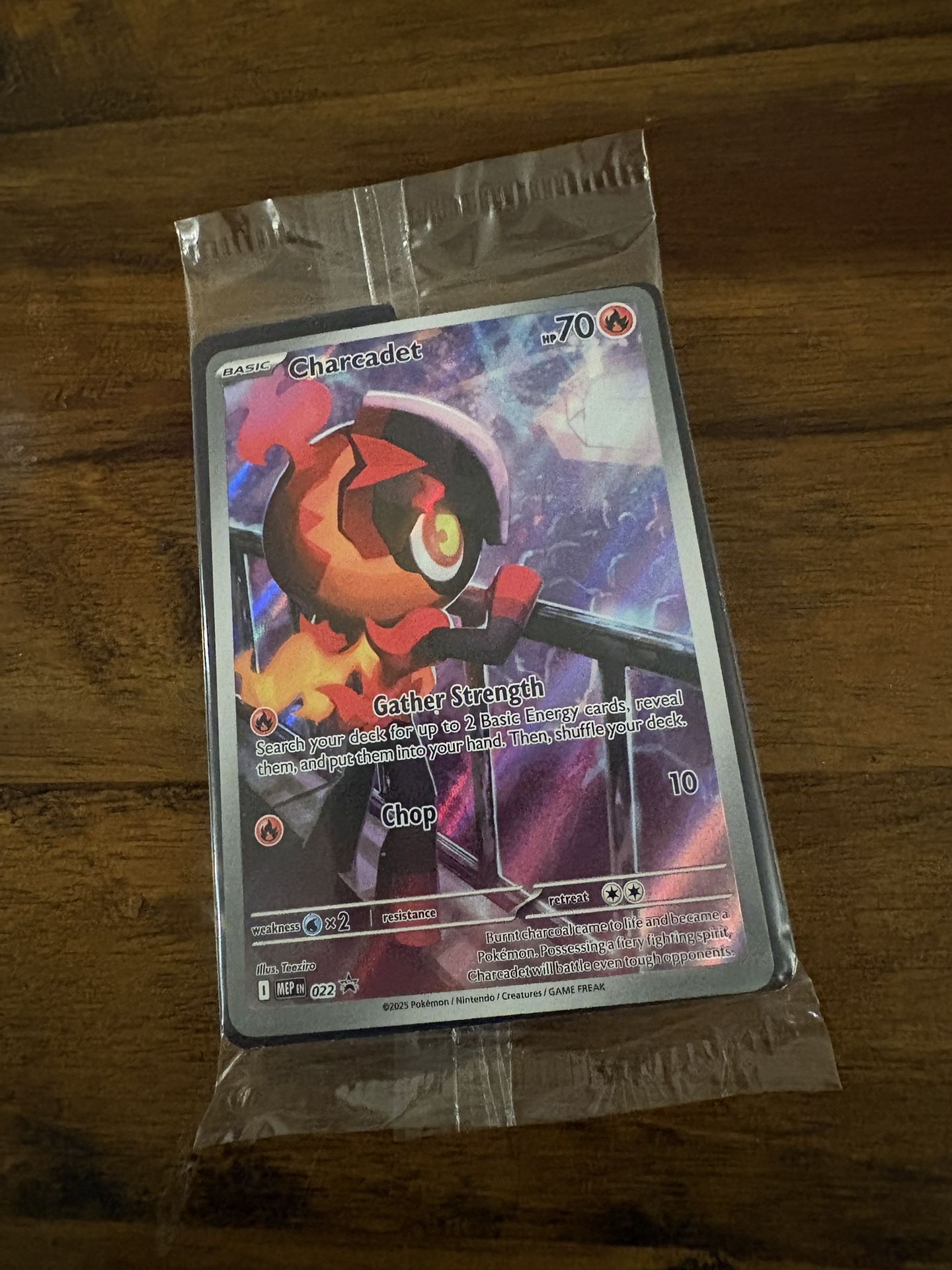 Pokémon Phantasmal Flames Charcadet Promo