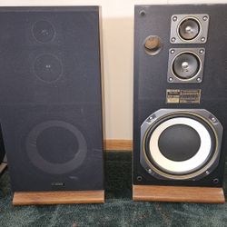 Fisher 100 Watt Floor Speakers