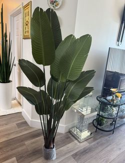 Pretty Artificial Plant 6 Ft Tall! Brand New 