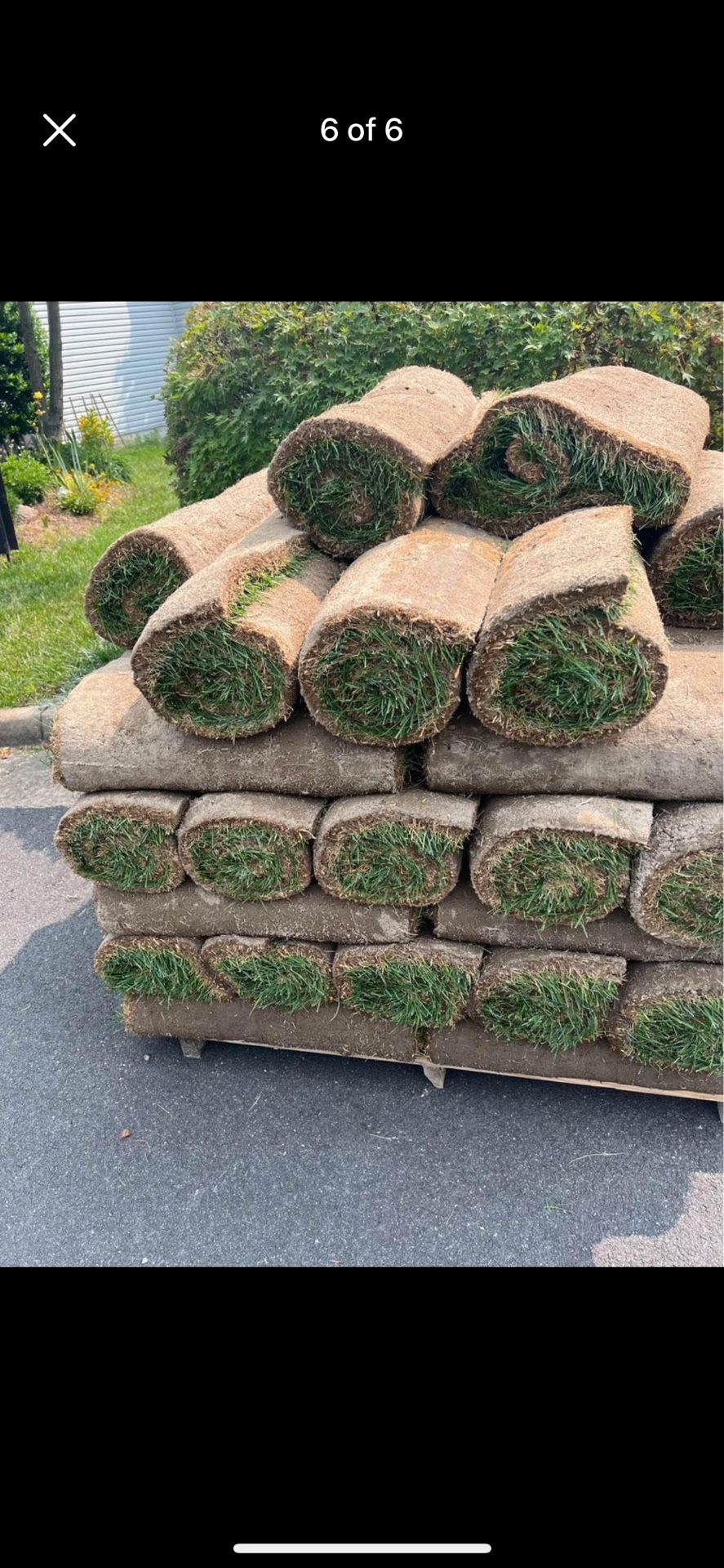 Fresh Sod