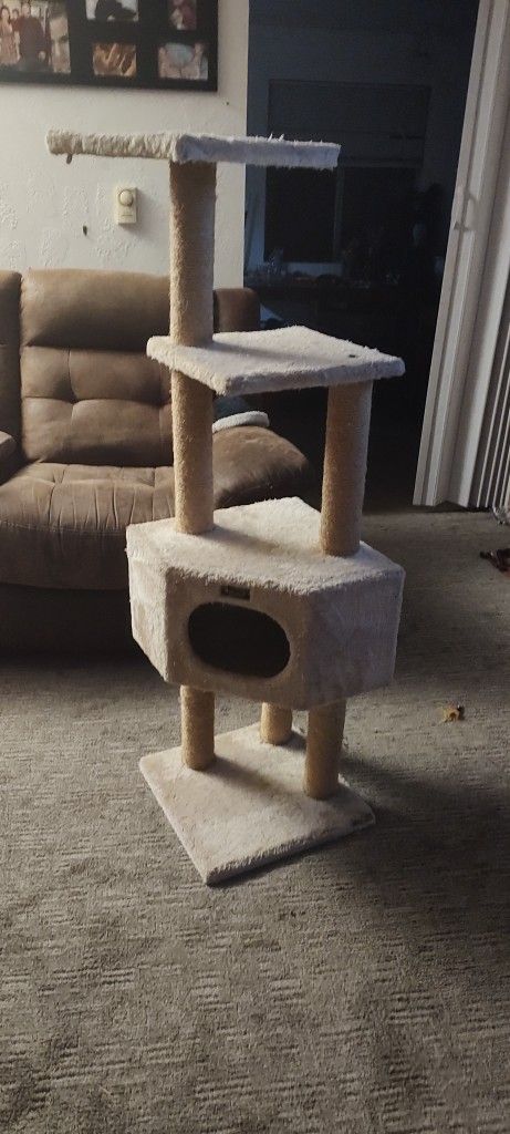 Free Cat Tree