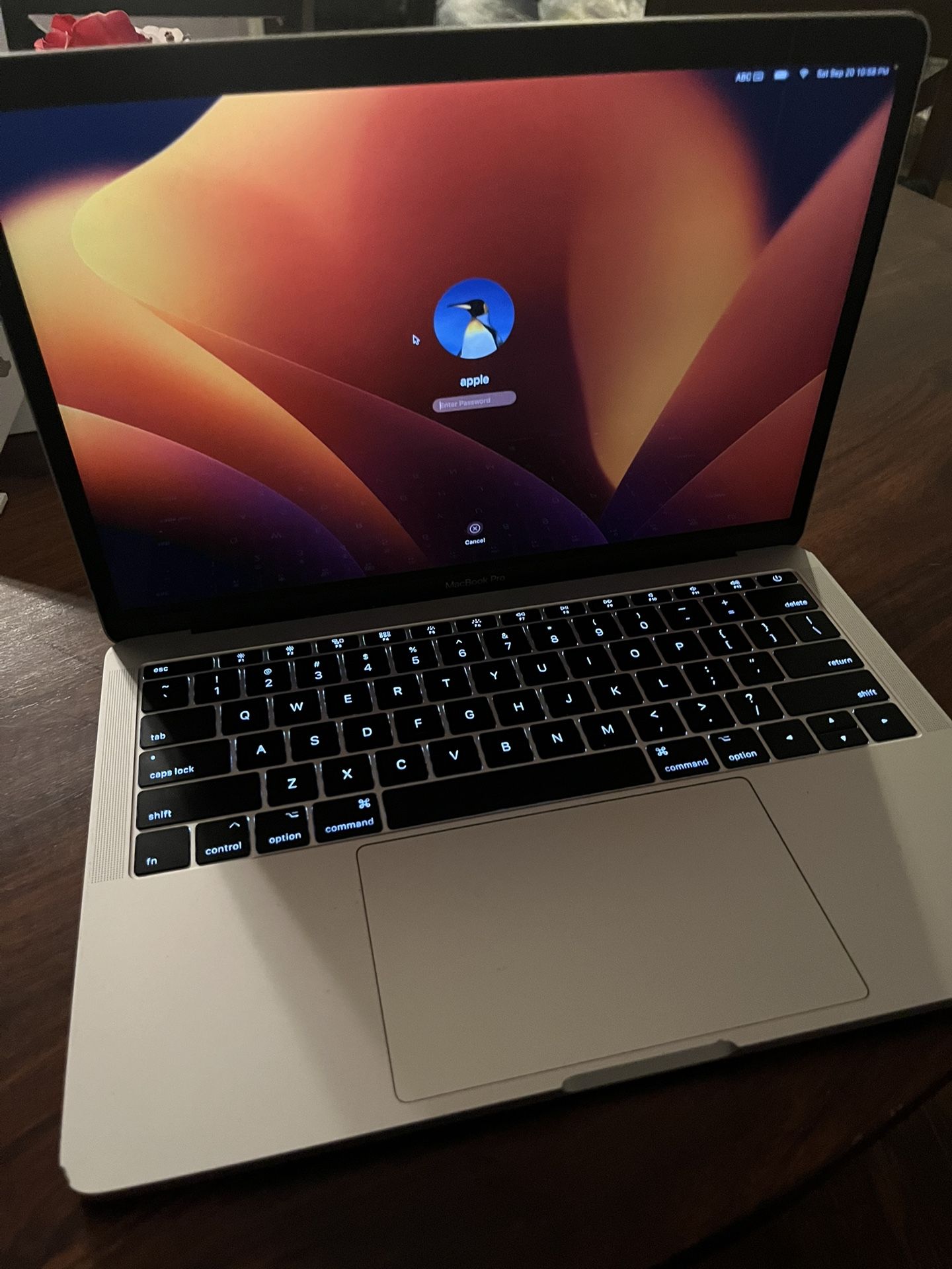 Mac Book Pro