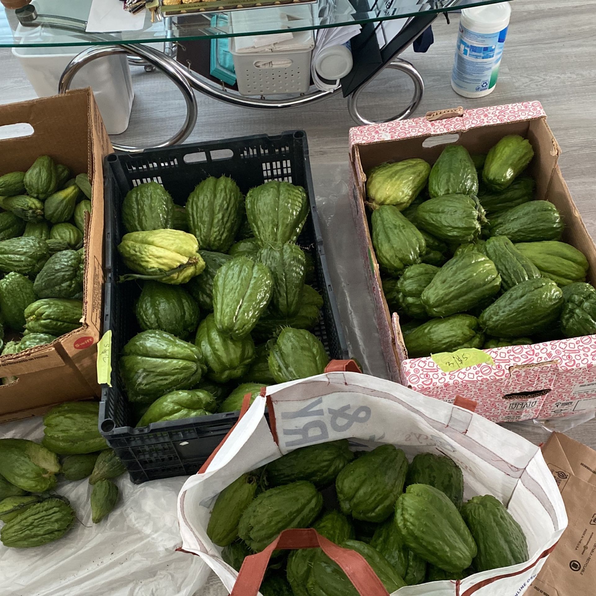Chayote Organic Fresh