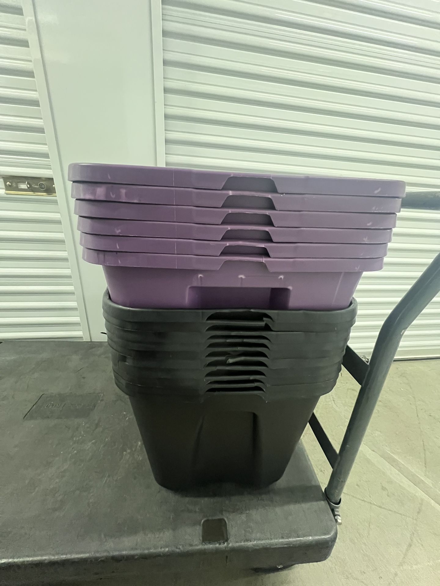 Sterilite Purple 18 Gal Containers