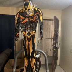 Halloween Costume 