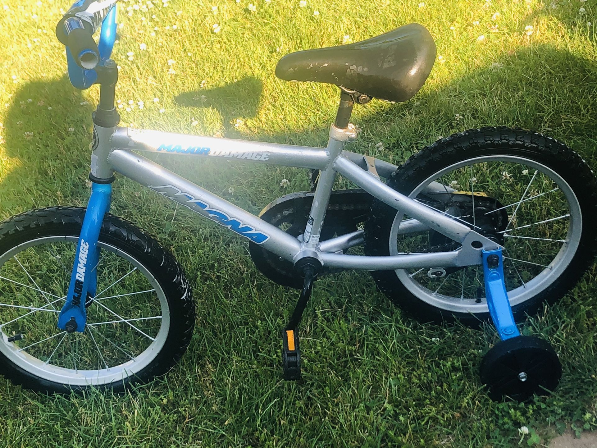 Magna 16 Inch Bike With Training Wheels