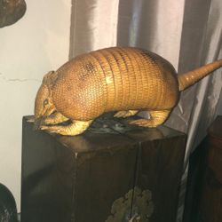 armadillo