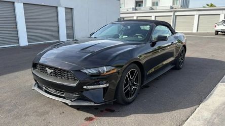 2019 Ford Mustang