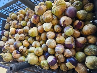 Tomatillos