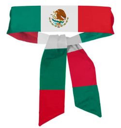 Mexican Flag Bandana Tie Men Mexican Flag Sports Turban Women Mexican Flag Headband Tie BNF01 (Green White Red)