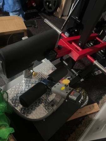 Commercial sissy squat