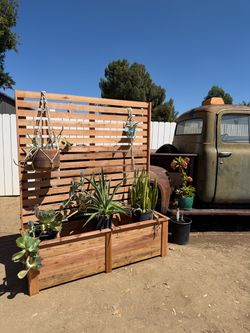 Wood Planter Box with Trellis Privacy Screen