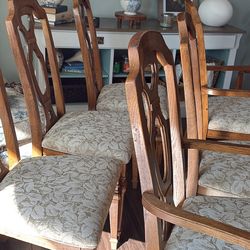 Dining Chairs