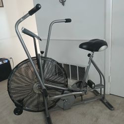 Shwinn Airdyne 