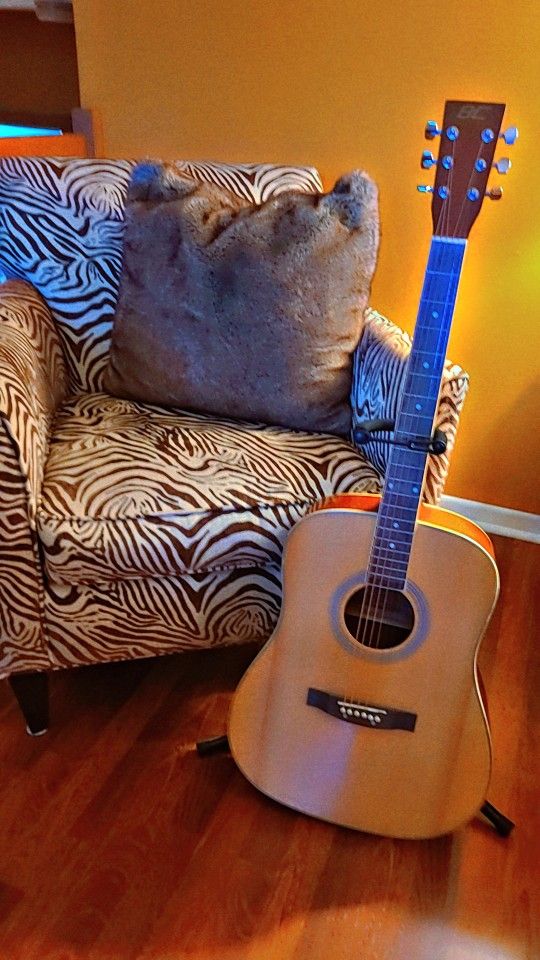 Beautiful Guitar 🎸