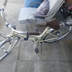 Schwinn Beach Cruiser 