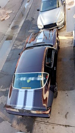 Camaro