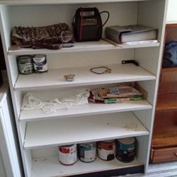 Book Shelves 