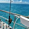 DD BROTHER YACHTS