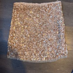 Zara Sequined Skirt