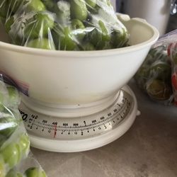 Organic Ciruelas O Jocotes Cultivadas Organicas 