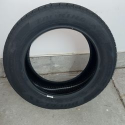NEW Douglas Touring A/S 205/55R16 91H Tire – Never Mounted