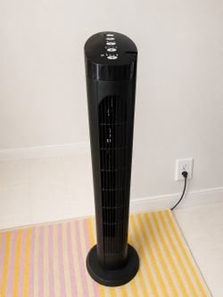 Standing Fan