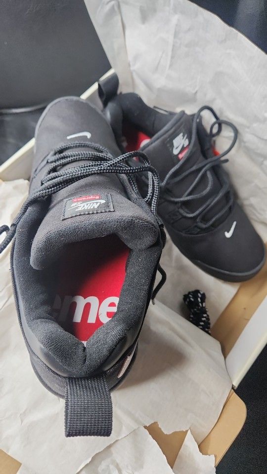 NIKE SB SUPREME DARWIN