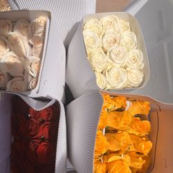 Wholesale Roses