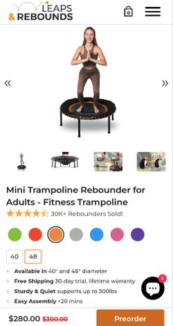 Leaps and Rebounds Fitness Trampoline 48"