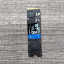 Western Digital Blue 1 TB M.2 Hard Drive 