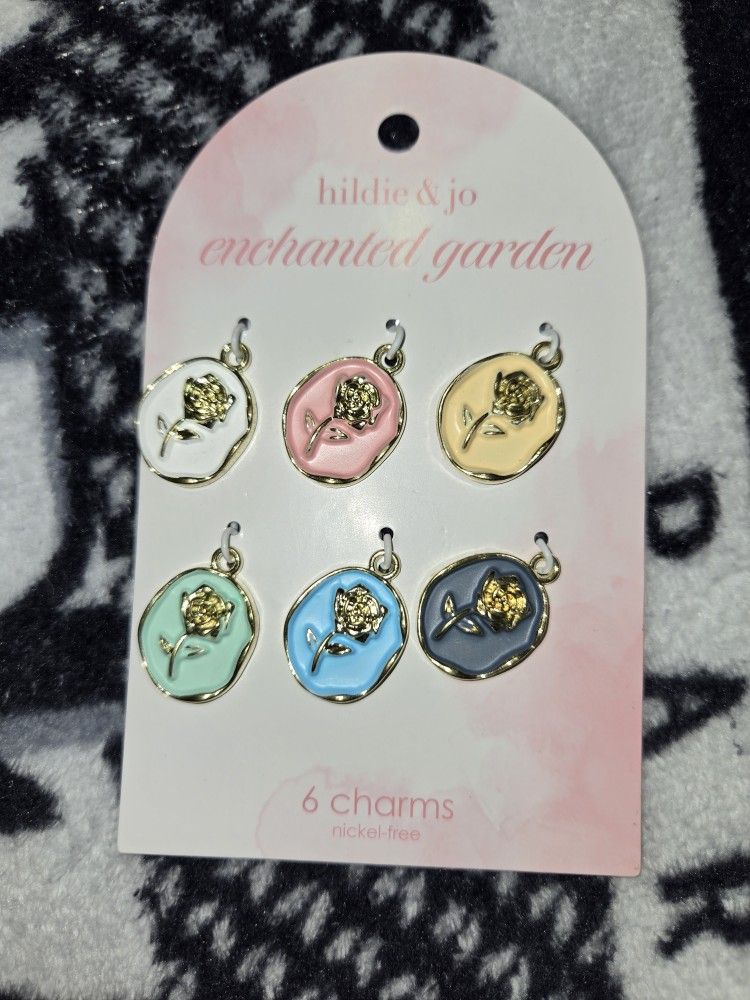 Brand New Charms Never Used Very Pretty