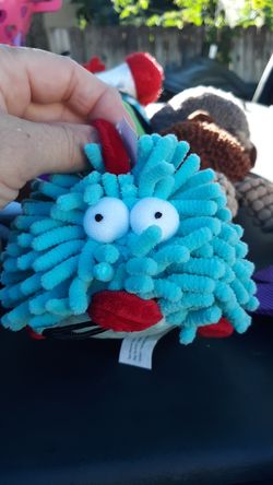 Pet toy with squeaker in it