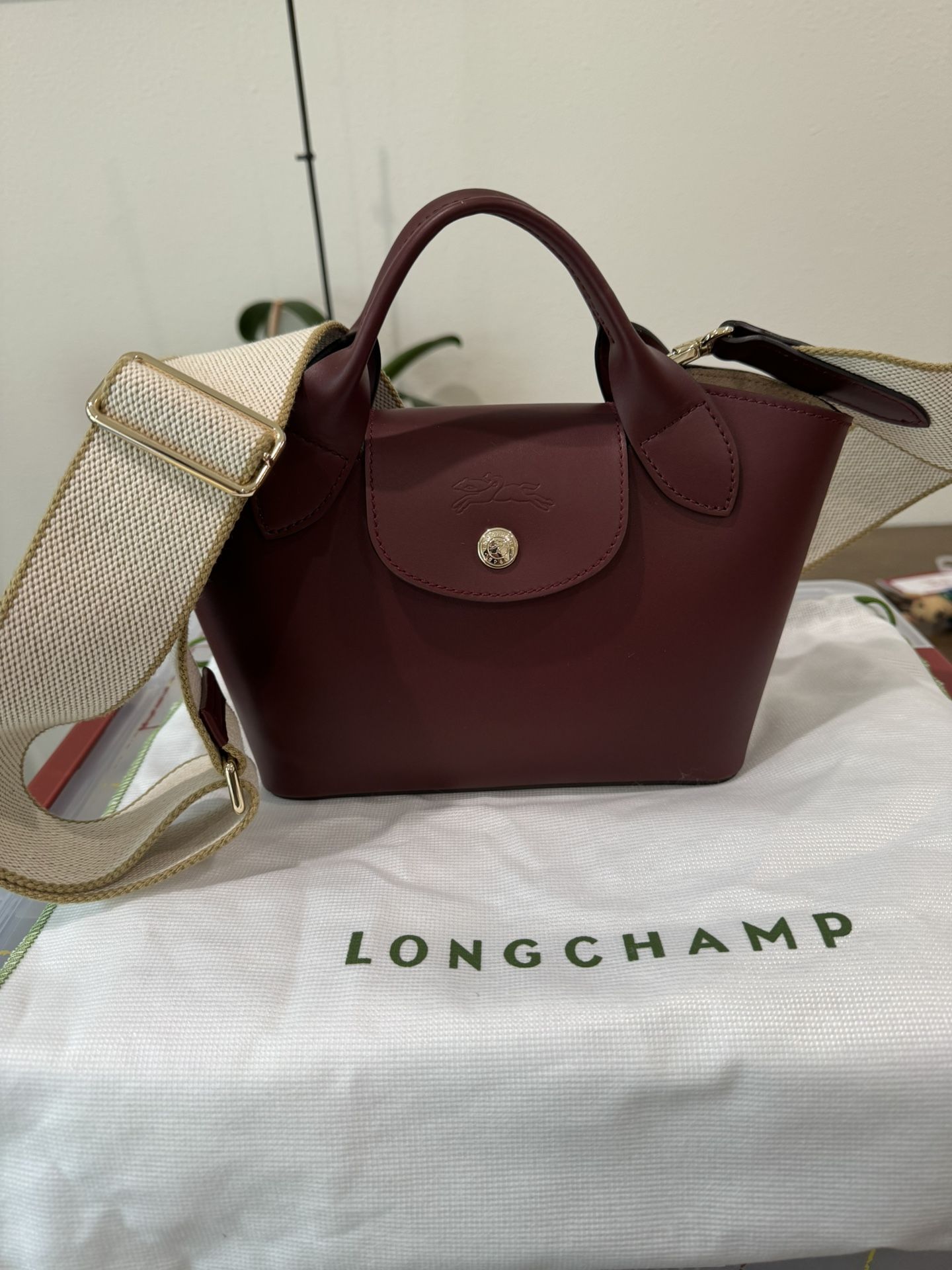 Longchamp Extra Small Épure Timeless Leather Crossbody Bag
