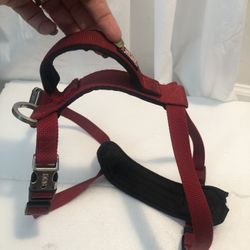 Kong Dog Harness