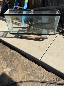Fish tank