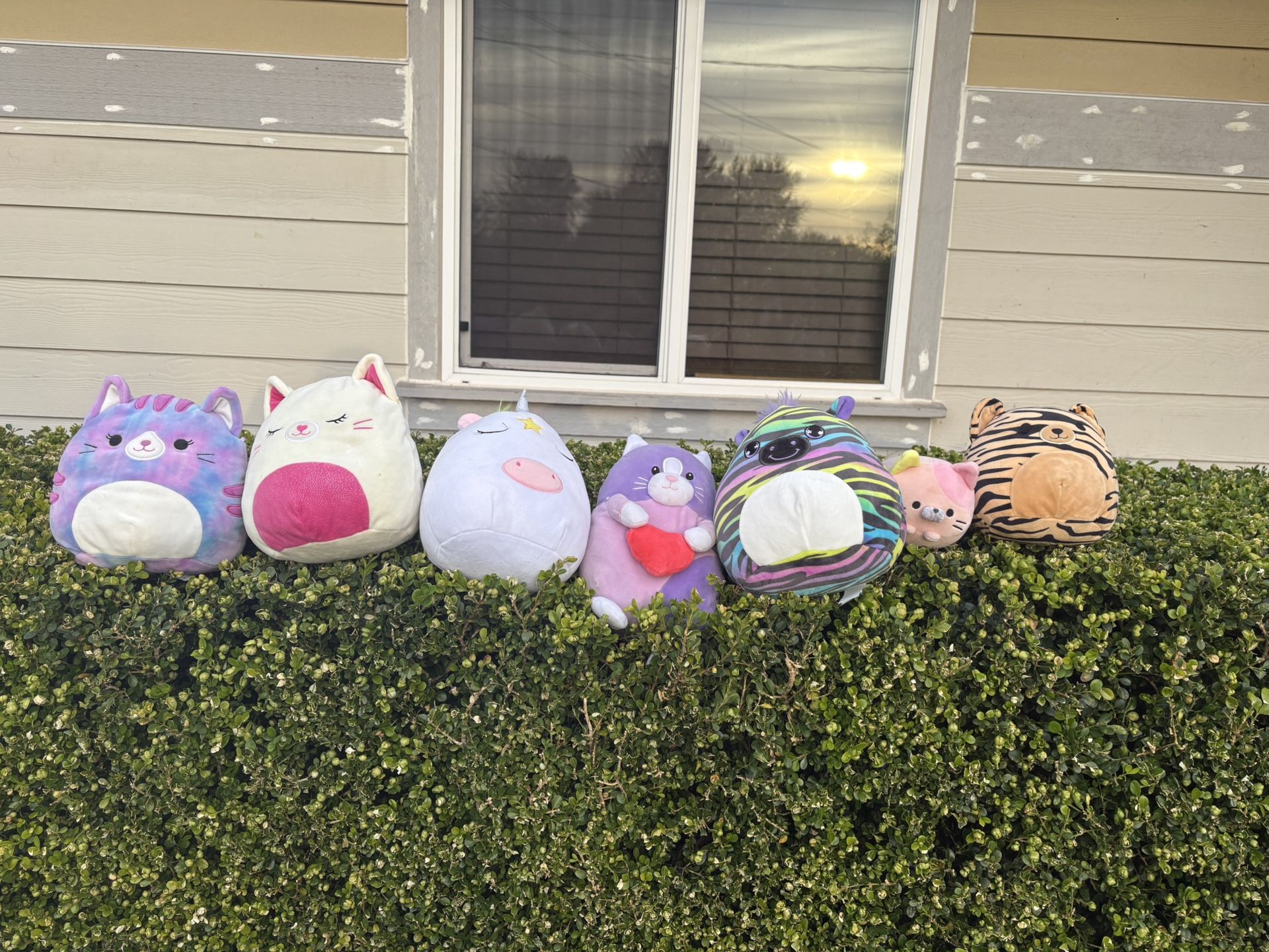 Squishmallows