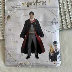 Halloween Costume - Harry potter