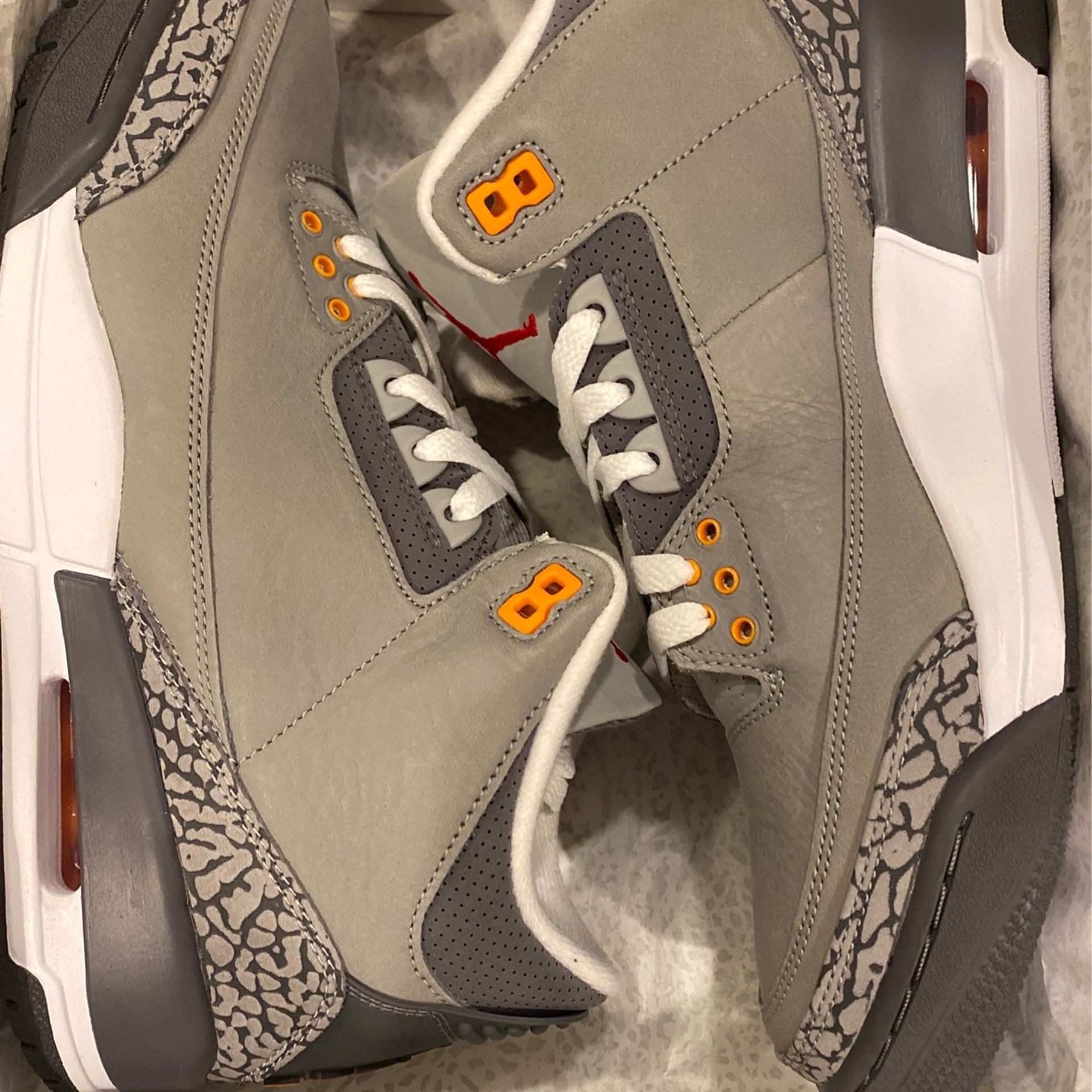 Cool Grey 3